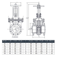 Задвижка чугунная 30ч6бр DN 80 PN 16 (10), параллельная Арт.101100047