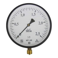 Манометр МТ-160 до 1,0 МПа М20х1,5, Багория Арт.182102412